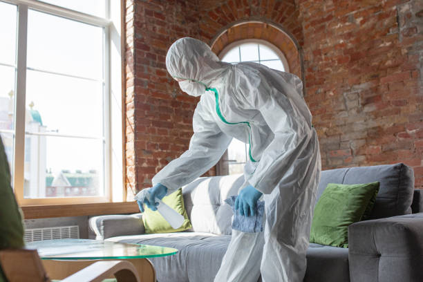 Why You Should Choose Our Mold Remediation Services in Negaunee, MI